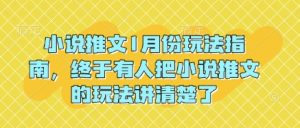 小说推文1月份玩法指南，终于有人把小说推文的玩法讲清楚了!-ANQUYE-HENHENLU-26UUU[首页]