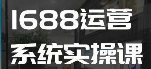 1688高阶运营系统实操课，快速掌握1688店铺运营的核心玩法-ANQUYE-HENHENLU-26UUU[首页]