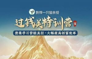 剽悍一只猫-过钱关特训营，学习营销真经 大幅度提高创富效率-ANQUYE-HENHENLU-26UUU[首页]