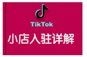 TikTok跨境小店运营全攻略，帮助你独立运营TK跨境小店的能力，实现销量增长-ANQUYE-HENHENLU-26UUU[首页]
