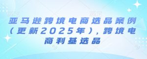 亚马逊跨境电商选品案例(更新2025年)，跨境电商利基选品-ANQUYE-HENHENLU-26UUU[首页]
