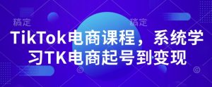 TikTok电商课程，​系统学习TK电商起号到变现-ANQUYE-HENHENLU-26UUU[首页]