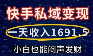 一天收入1691.5，快手私域变现，小白也能闷声发财-ANQUYE-HENHENLU-26UUU[首页]