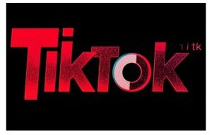 TikTok ads投流秘籍，涵盖tiktok整体投放思路，教你搭建测试计划-ANQUYE-HENHENLU-26UUU[首页]