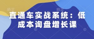 直通车实战系统：低成本询盘增长课，让个人通过技能实现升职加薪，让企业低成本获客，订单源源不断-ANQUYE-HENHENLU-26UUU[首页]