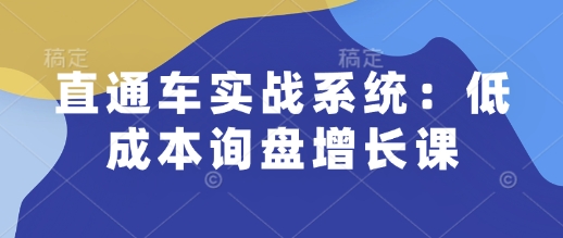 直通车实战系统：低成本询盘增长课，让个人通过技能实现升职加薪，让企业低成本获客，订单源源不断-ANQUYE-HENHENLU-26UUU[首页]