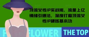 顶流女性IP实战班，流量上亿情绪引爆法，深度打磨顶流女性IP硬核基本功-ANQUYE-HENHENLU-26UUU[首页]