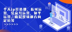 个人ip打造课，私域运营，公众号运营，知乎运营，底层逻辑和方向定位等-ANQUYE-HENHENLU-26UUU[首页]