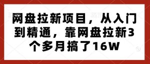 网盘拉新项目，从入门到精通，靠网盘拉新3个多月搞了16W-ANQUYE-HENHENLU-26UUU[首页]