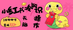 小红书冷知识账号，无脑复制粘贴，5分钟即可变现3张-ANQUYE-HENHENLU-26UUU[首页]