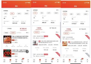 2025最新京东蓝海项目，0 门槛日入 1k+，小白宝妈轻松上手【揭秘】-ANQUYE-HENHENLU-26UUU[首页]