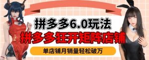 拼多多虚拟商品暴利6.0玩法，轻松实现月入过W-ANQUYE-HENHENLU-26UUU[首页]