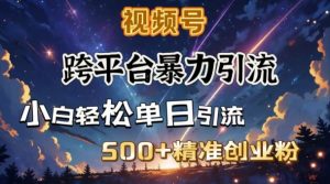 跨平台暴力引流，私域完美闭环，日引500+精准创业粉-ANQUYE-HENHENLU-26UUU[首页]