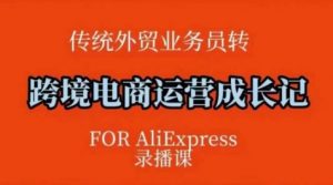 跨境电商速卖通运营课，​运营方法论+后台实操，逻辑清晰-ANQUYE-HENHENLU-26UUU[首页]