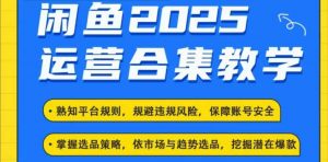 2025闲鱼电商运营全集，2025最新咸鱼玩法-ANQUYE-HENHENLU-26UUU[首页]