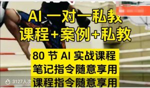 AI指令实战课，课程+案例，80节AI实战课程，笔记指令随意享用，课程指令随意享用-ANQUYE-HENHENLU-26UUU[首页]
