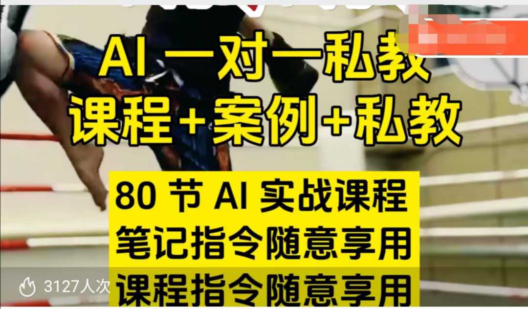 AI指令实战课，课程+案例，80节AI实战课程，笔记指令随意享用，课程指令随意享用-ANQUYE-HENHENLU-26UUU[首页]