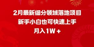 2月最新细分领域落地项目，新手小白也可快速上手，月入1W-ANQUYE-HENHENLU-26UUU[首页]