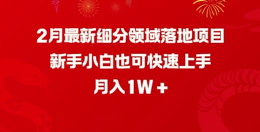 2月最新细分领域落地项目，新手小白也可快速上手，月入1W-ANQUYE-HENHENLU-26UUU[首页]