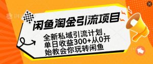 闲鱼淘金私域引流计划，从0开始玩转闲鱼，副业也可以挣到全职的工资-ANQUYE-HENHENLU-26UUU[首页]
