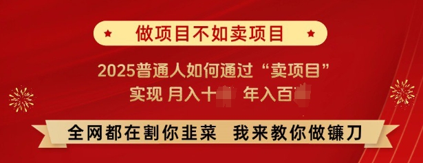 必看，做项目不如卖项目，2025普通人如何通过“卖项目”实现月入十个，年入百个-ANQUYE-HENHENLU-26UUU[首页]