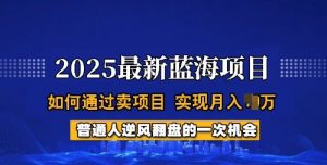 2025蓝海项目，普通人如何通过卖项目，实现月入过W，全过程【揭秘】-ANQUYE-HENHENLU-26UUU[首页]