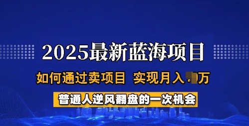 2025蓝海项目，普通人如何通过卖项目，实现月入过W，全过程【揭秘】-ANQUYE-HENHENLU-26UUU[首页]